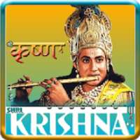 Shri Krishna TV Serial