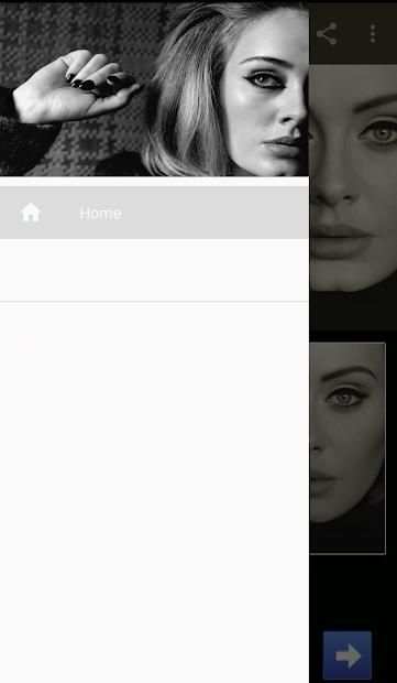 SONGS OF ADELE screenshot 6