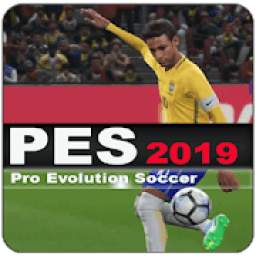 PES Advicer Soccer 1.0