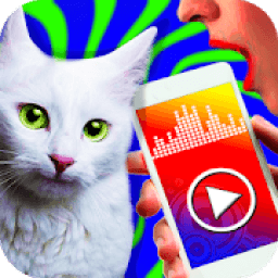 ikon Cat translator - prank app
