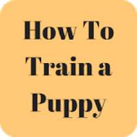 How to Train a Puppy