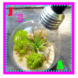 ikon Recyle Light Bulb Innovative