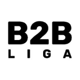 B2B-Liga