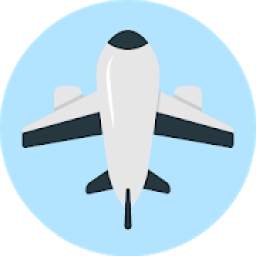 Air India flight 1.0.1