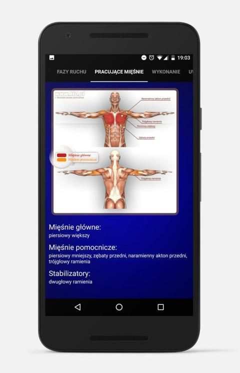 Atlas ćwiczeń KFD.PL screenshot 19