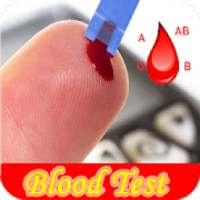 Blood Test Guide