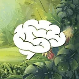 Find the Brain आइकन