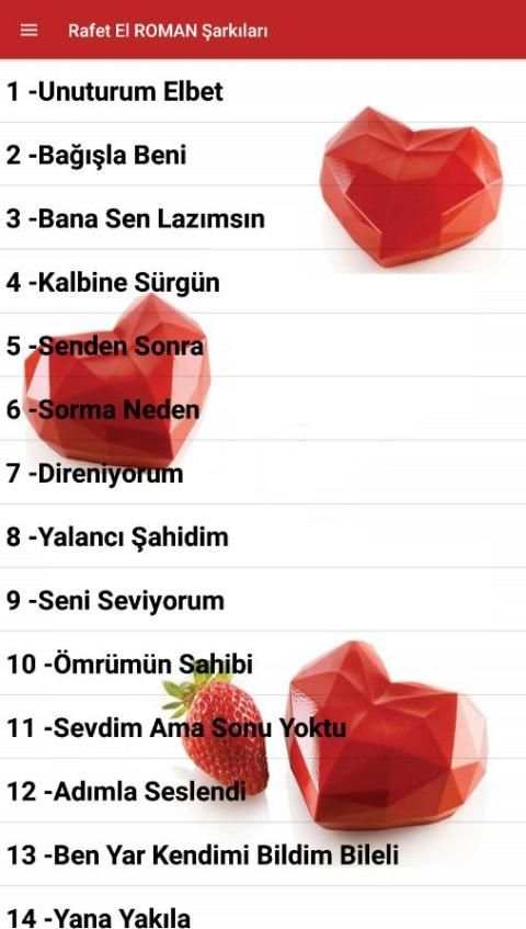 Rafel El ROMAN Şarkıları(İnternetsiz 40 Şarkı) screenshot 5