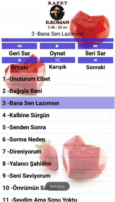 Rafel El ROMAN Şarkıları(İnternetsiz 40 Şarkı) screenshot 2