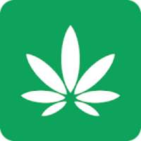 Facts About CBD on 9Apps