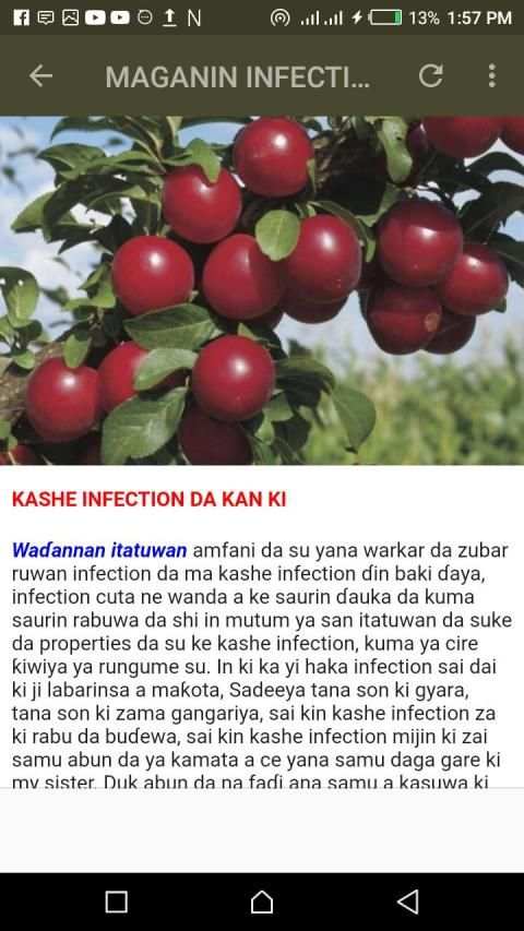 Dabarun Girki screenshot 1