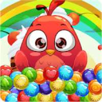 Candy Bird papa crush bubble