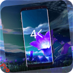 ikon Wallpagers 4K, HD Full 2019