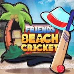 Friends Beach Cricket 2019: The Real Beach Cricket