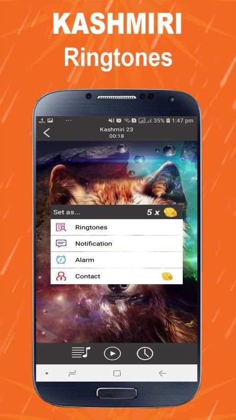 Kashmiri Ringtones Free Offline screenshot 4