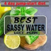 BEST SASSY WATER DIET PLAN