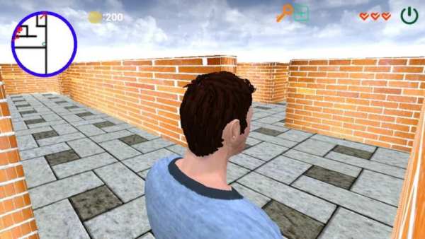 Maze 3D स्क्रीनशॉट 1
