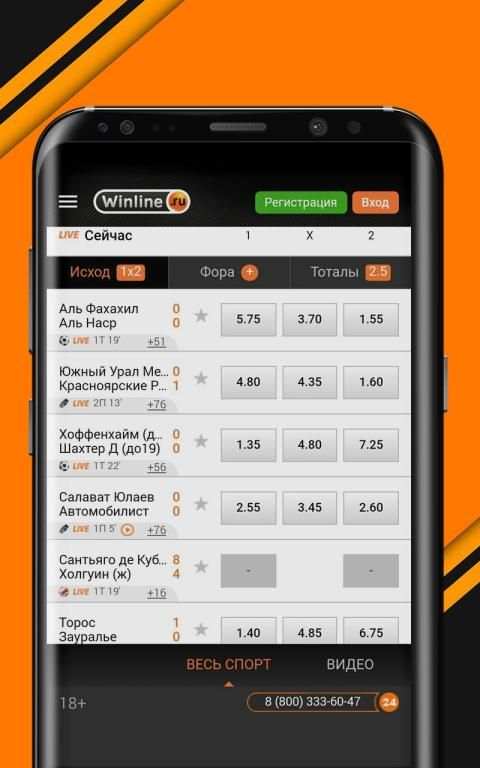Винлайн screenshot 2