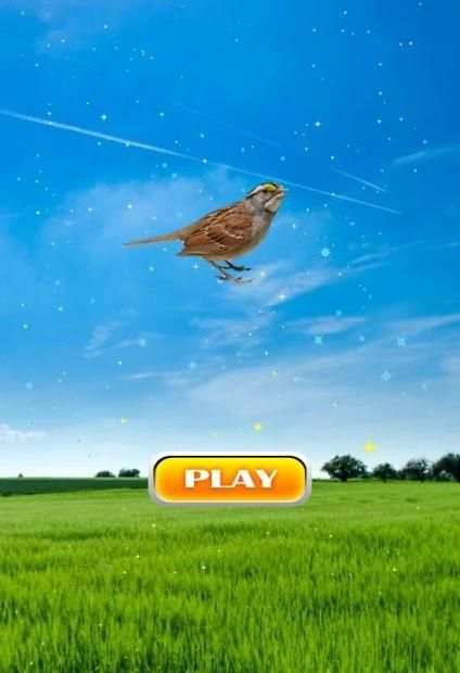 Sparrow Bird Game स्क्रीनशॉट 1
