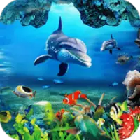 水族館の魚ライブ壁紙 魚の背景19アプリのダウンロード22 無料 9apps