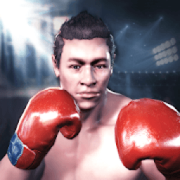 ikon Boxing King 3D