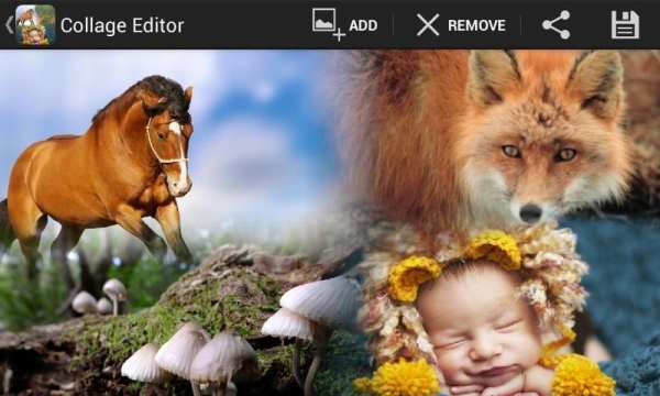 PicMix Free , Insta Collage स्क्रीनशॉट 3