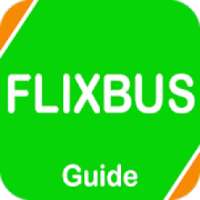 Guide for FLlXBUS on 9Apps