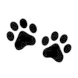 Paw Patrol Matching Game icon