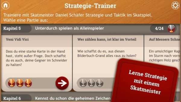 Skat screenshot 15