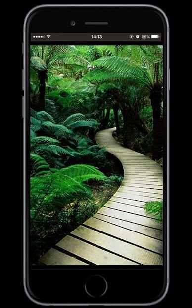 Best HD Wallpapers screenshot 3