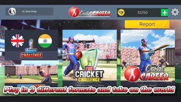 Cricket Career स्क्रीनशॉट 2