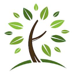 Cash Tree 2