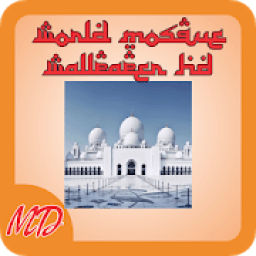 World Mosque Wallpaper HD आइकन