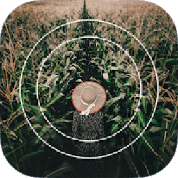 ikon Pic Art Studio 2019