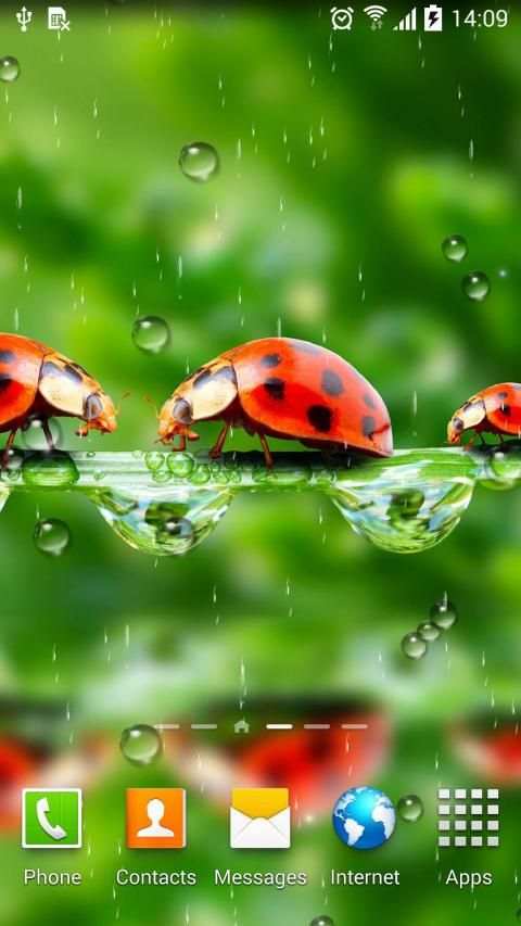 Rain Live Wallpaper स्क्रीनशॉट 11