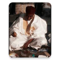 Dr. maqari - Lectures 1.0