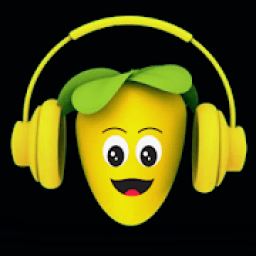 ikon Music Player Flstudio