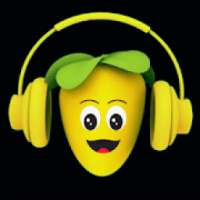 Music Player Flstudio