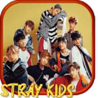 Stray Kids Best Songs 2019 - WITHOUT INTERNET - on 9Apps