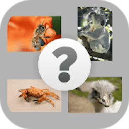 Que animal soy ? - Adivina animales icon