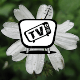 TM101vn - Cùng Xem Tiện ích icon