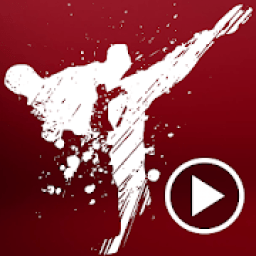 Karate Techniques Videos आइकन