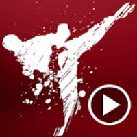 Karate Techniques Videos
