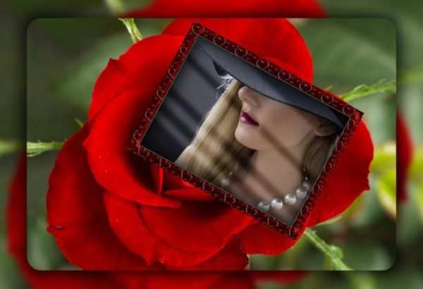 Rose Photo Frames स्क्रीनशॉट 4