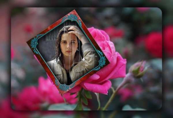 Rose Photo Frames स्क्रीनशॉट 5