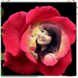 Rose Photo Frames आइकन