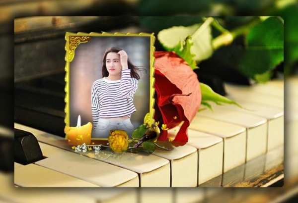 Rose Photo Frames स्क्रीनशॉट 3