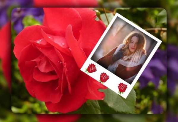 Rose Photo Frames स्क्रीनशॉट 2