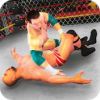 Wrestling Mayhem Cage Revolution Fight