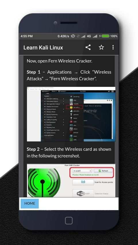 Kali Linux screenshot 2